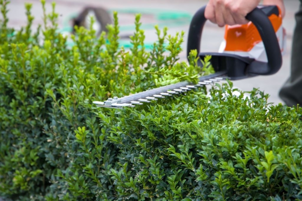 Garden maintenance service